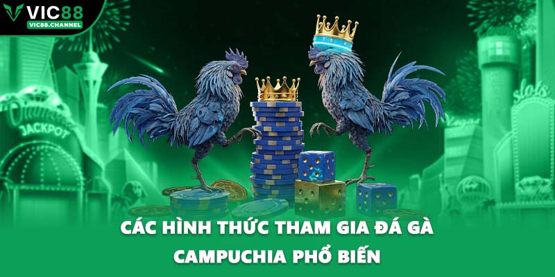Các hình thức tham gia đá gà Campuchia phổ biến