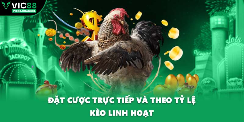 Đặt cược trực tiếp và theo tỷ lệ kèo linh hoạt