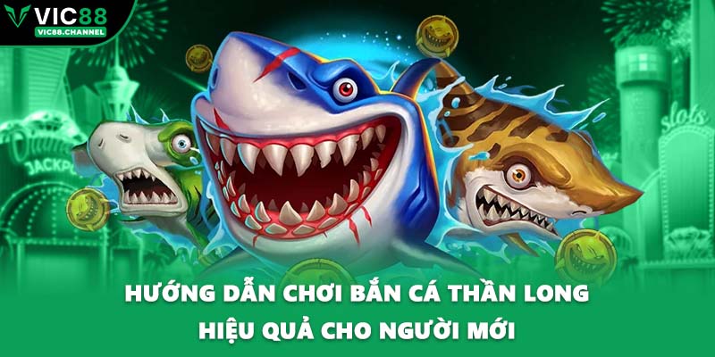 Hướng dẫn chơi bắn cá thần long hiệu quả cho người mới