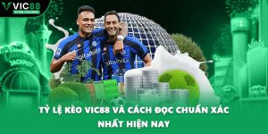 Tỷ Lệ Kèo VIC88 Và Cách Đọc Chuẩn Xác Nhất Hiện Nay